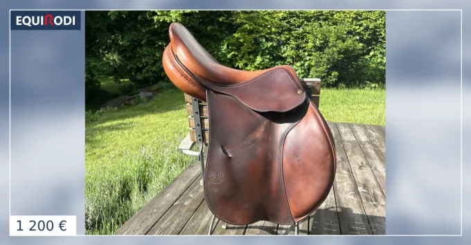 Prix Promo Selle Bruno Delgrange modle Partition 17,5 pouces