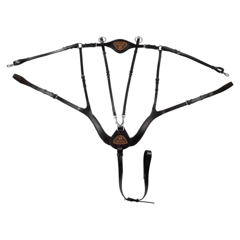 Seulement Aujourdhui Collier de chasse anatomique 5 points Acavallo - Cheval - Marron fonc