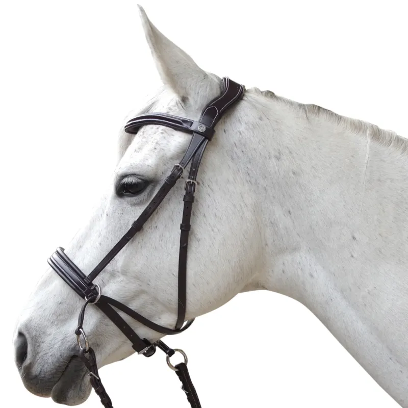 Must-Have Bridon Canter bitless Evolution - Cheval - Marron