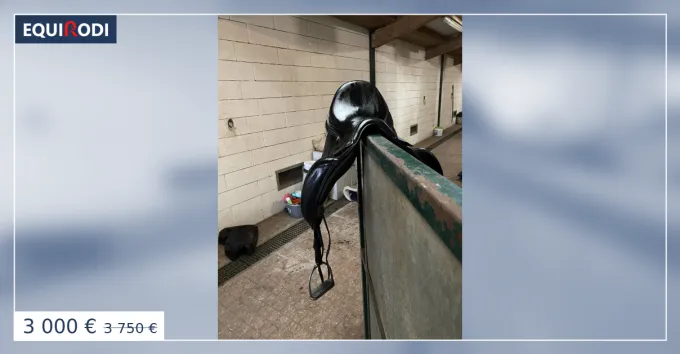 Selle dressage quipe modle ORACLE Acheter Direct