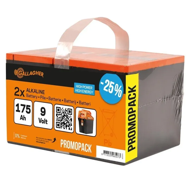 Prix Promo Pile 9V/175Ah Paquet DUO 190x125x160 mm (x2) GALLAGHER