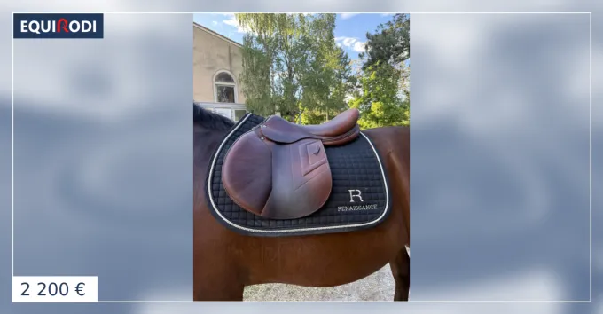 Achetez Aujourdhui Selle Renaissance F2S