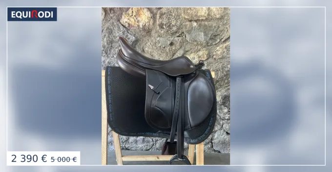 Acheter En Ligne Selle Equipe EK EVO carbon