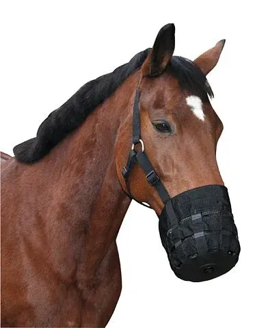 Muselire avec licol Kerbl - Cheval Vente Directe