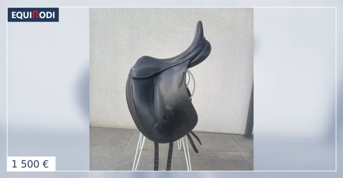 Achat Immdiat Selle Dressage Childric