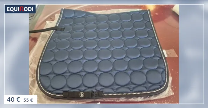 Jusqu puisement Des Stocks Tapis BR dressage bleu satin