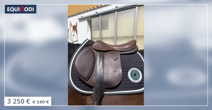 Livraison Express Selle dobstacle Forestier Soul