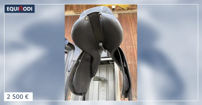 Selle obstacle Antares Satisfait Ou Rembours