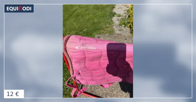 Tapis taille cheval/full Meilleur Choix