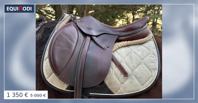 Rduction Selle antares