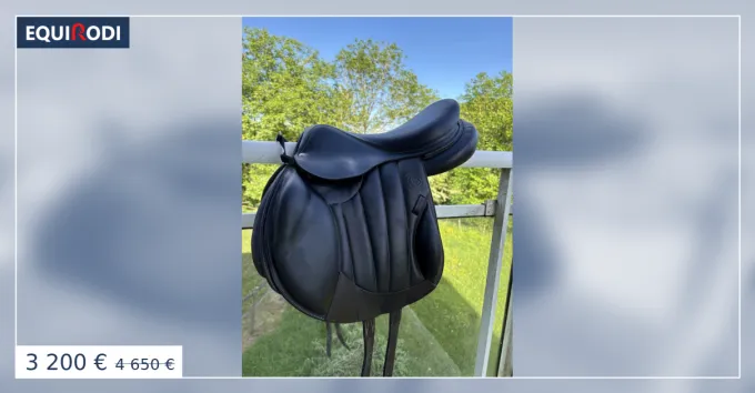 Offre Spciale Selle Forstier boekelo de 2023