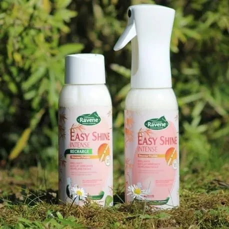 Dmlant lustrant Easy shine intense 500 ml RAVENE Prix Choc