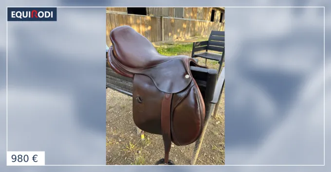 Populaire Selle cwd petit prix