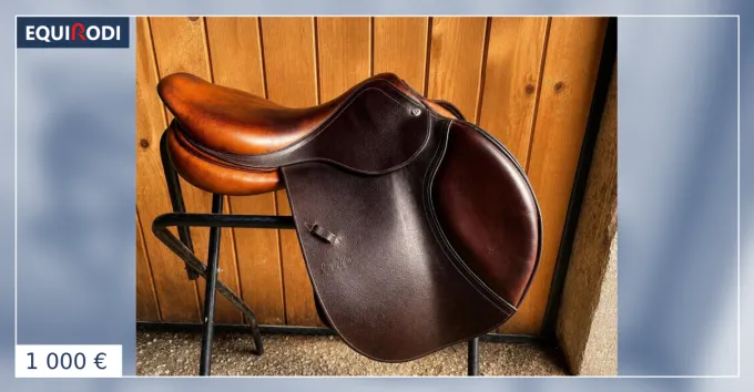 Offre Du Jour Selle CWD