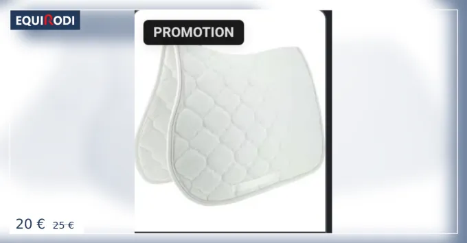 Nouvelle Collection Tapis blanc