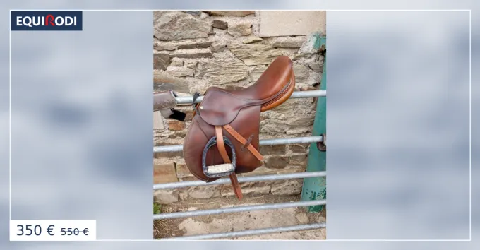 Selle Bruno Delgrange Prix Promo