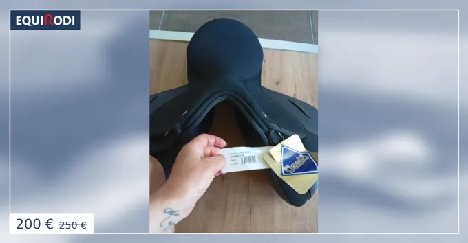 Seulement Aujourdhui Selle anglaise