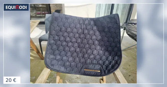 Tapis cheval Fouganza bleu Expdition Rapide