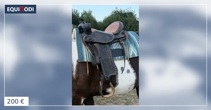 Petit Prix Selle western