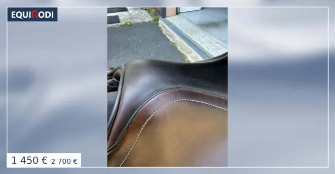 Livraison Gratuite Selle dquitation mixte
