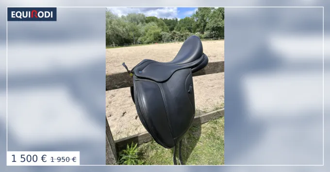 Selle dressage ikonik Expdi Aujourdhui