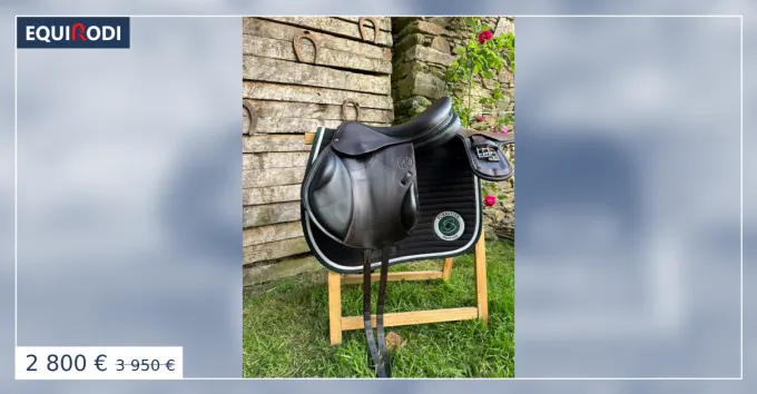 Selle Boekelo 17,5' 2022 Quartier 2A Expdi Aujourdhui