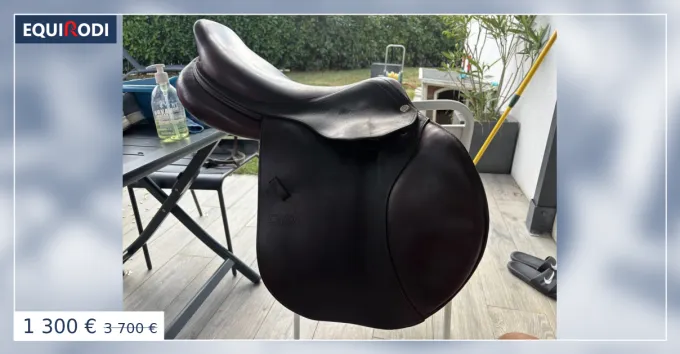 Paiement Scuris Selle mixte CWD 17,5 pouces,anne 2018