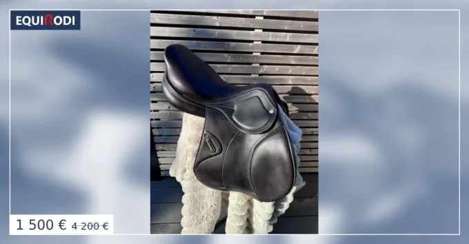 Selle Amerigo anne 2021 Nouvelle Collection