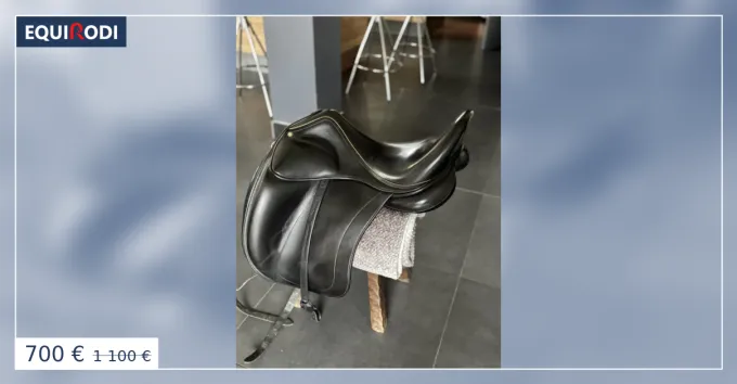 Selle de dressage Childric 2009 Retour Gratuit