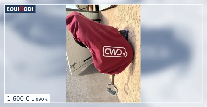 Authentique Selle cwd