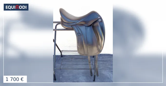 Populaire Selle Dressage Equipe Carbone 17'