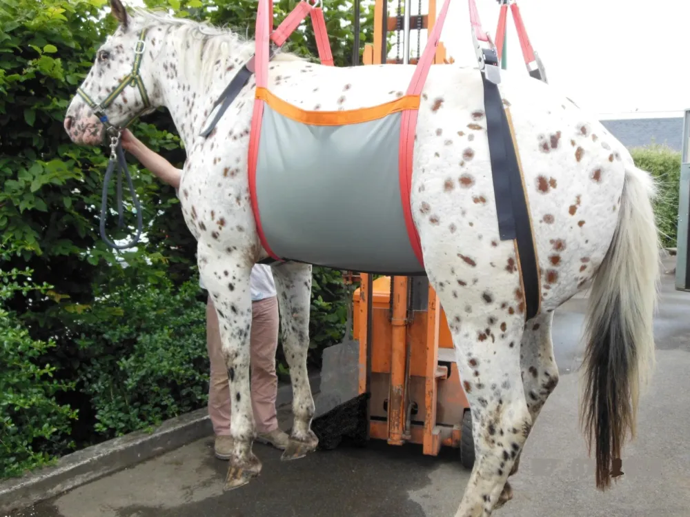 Harnais de levage pour cheval Offre Spciale