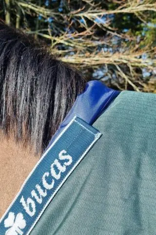 Top Vente Pad de garrot Bucas