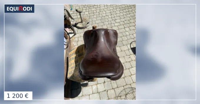 Nouveaut Selle CWD Se02