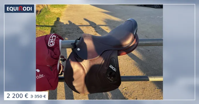 Selle CWD 2Gs 17 Meilleur Prix