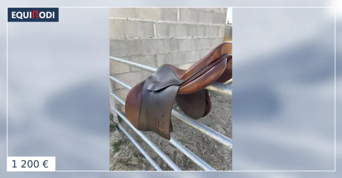 Selle Bruno Delgrange 17,5 Top Vente