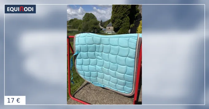 Seulement Aujourdhui Tapis taille full/cheval