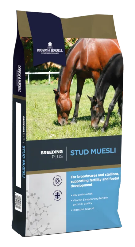 Stud Muesli 20 kg DODSON & HORRELL Offre Spciale