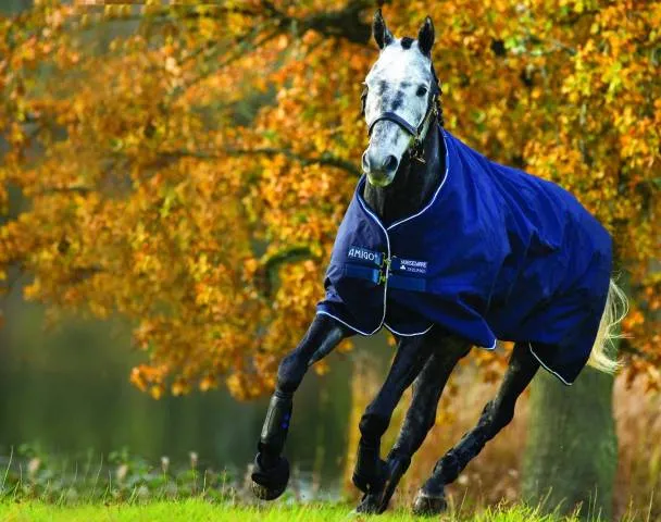 Meilleur Choix Couverture extrieur Amigo Bravo 12 Turnout Heavy - Horseware - 400g - MARINE - 5'9 / 125 CM