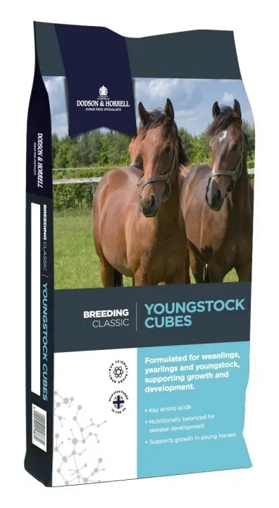 Youngstock Cubes 20 kg DODSON & HORRELL Achat Immdiat