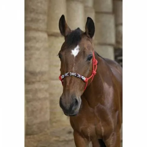 Licol en corde ethologique Pearl Norton - Noir - Cheval Quantit Limite
