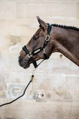 Retour Gratuit Licol Velvet - Kentucky - Bleu Marine - Cheval