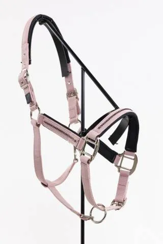 Affaire Saisir Licol + longe Amour - Harcour - Rglable et durable - Poney - Violet
