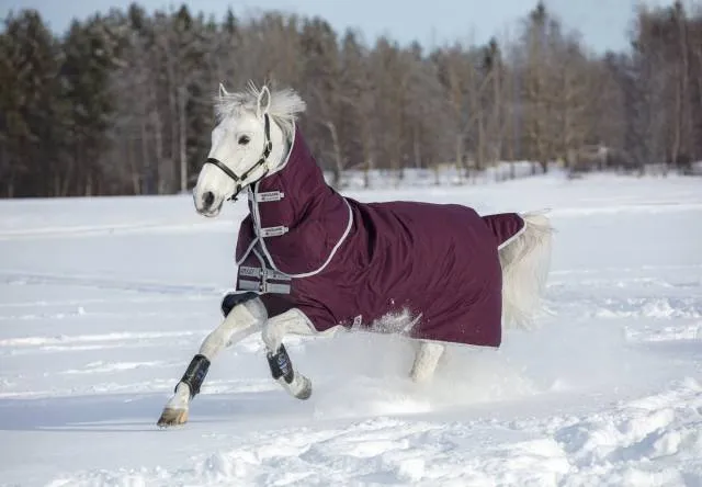 Livraison Gratuite Couverture Amigo Hero ripstop plus 200g - Horseware - Impermable - BORDEAUX/ARGENTE - 6'9 / 155 CM