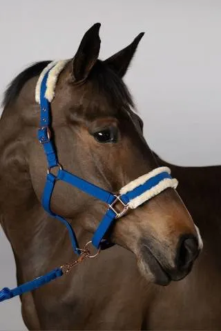 Licol et longe Harcour Holly - Cob - Bleu roi Rduction
