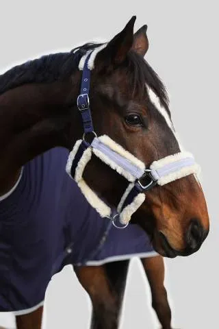 Licol Harcour Hizia (2 coloris) - Navy Marque