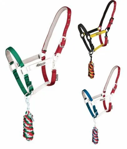 Licol Equestro Flaggy - Bleu/blanc/rouge - Poney Remise