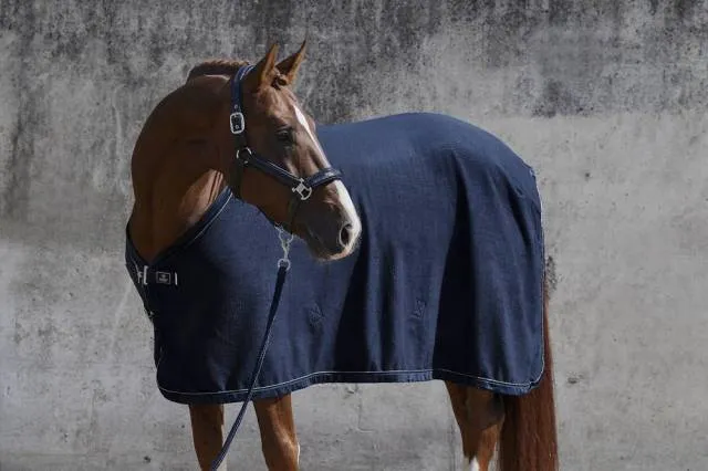 Livraison Express Couverture schante Fleece Stamped Platinum 2022- Eskadron - Ashgreen - M - 135 cm