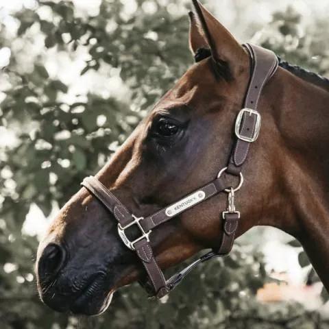 Dernire Chance Licol anatomique en sudine - Kentucky - Cuir artificiel - Gris - Cheval