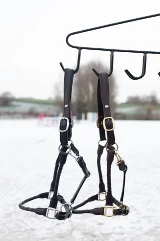 Licol tress HFI - NOIR - COB Super Prix